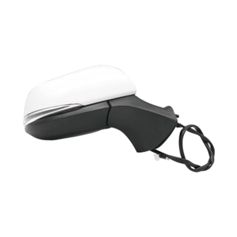 Para montañés 2020 JA078